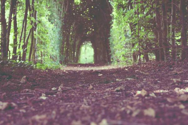 与abstract相关的创意图片