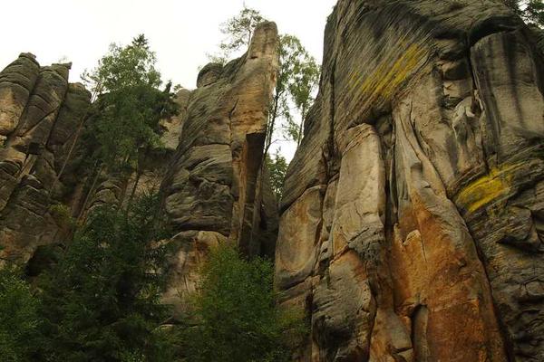 更折射出用户对真实主题的精美插图