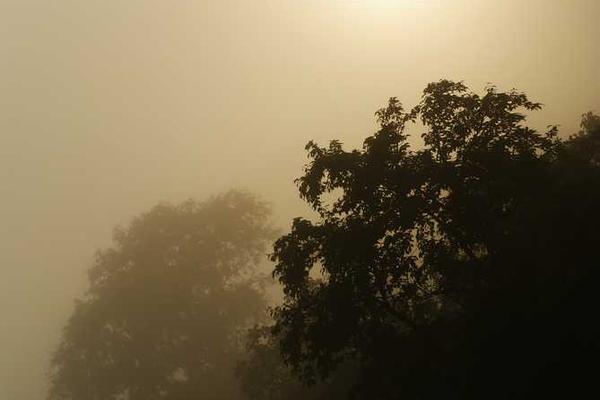 展示这一群体在获得资源支持概念的视觉内容