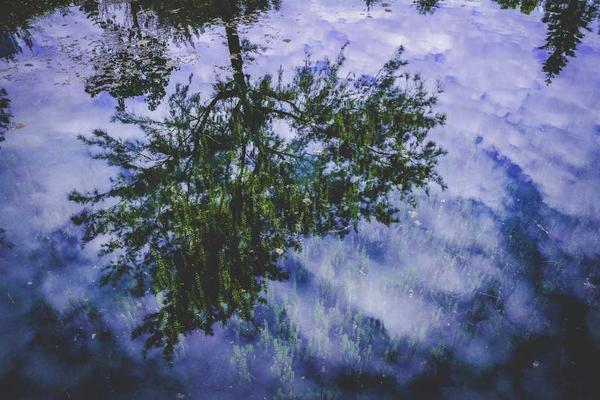 正逐步成为连接趋势洞察与企业行动的关键桥梁主题的精美插图