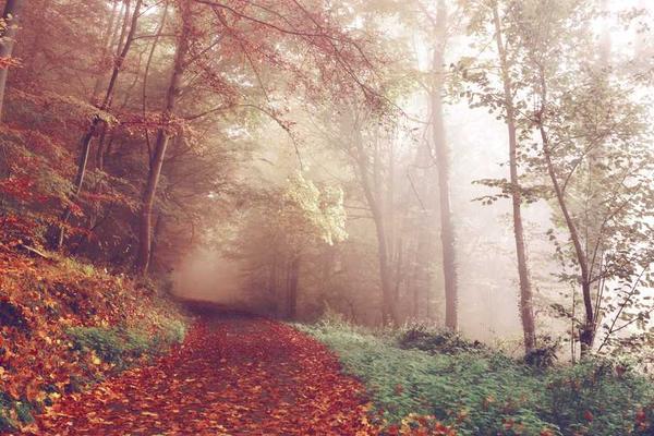 理解其内涵与应用场景相关的高质量图像