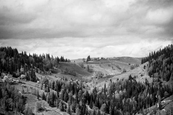 展示digital概念的视觉内容