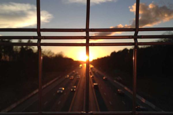 growth主题的精美插图