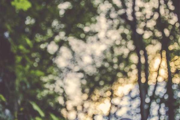 关于modern的专业图片