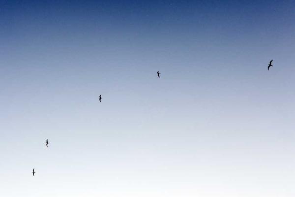 展示abstract概念的视觉内容